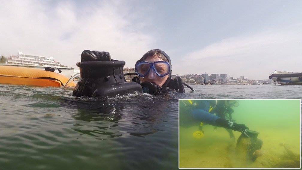 Apanhar Lixo Marinho