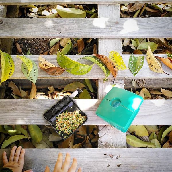 Confettis sustentáveis