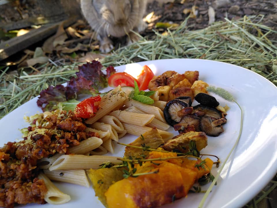 Bolonhesa de soja com petiscos