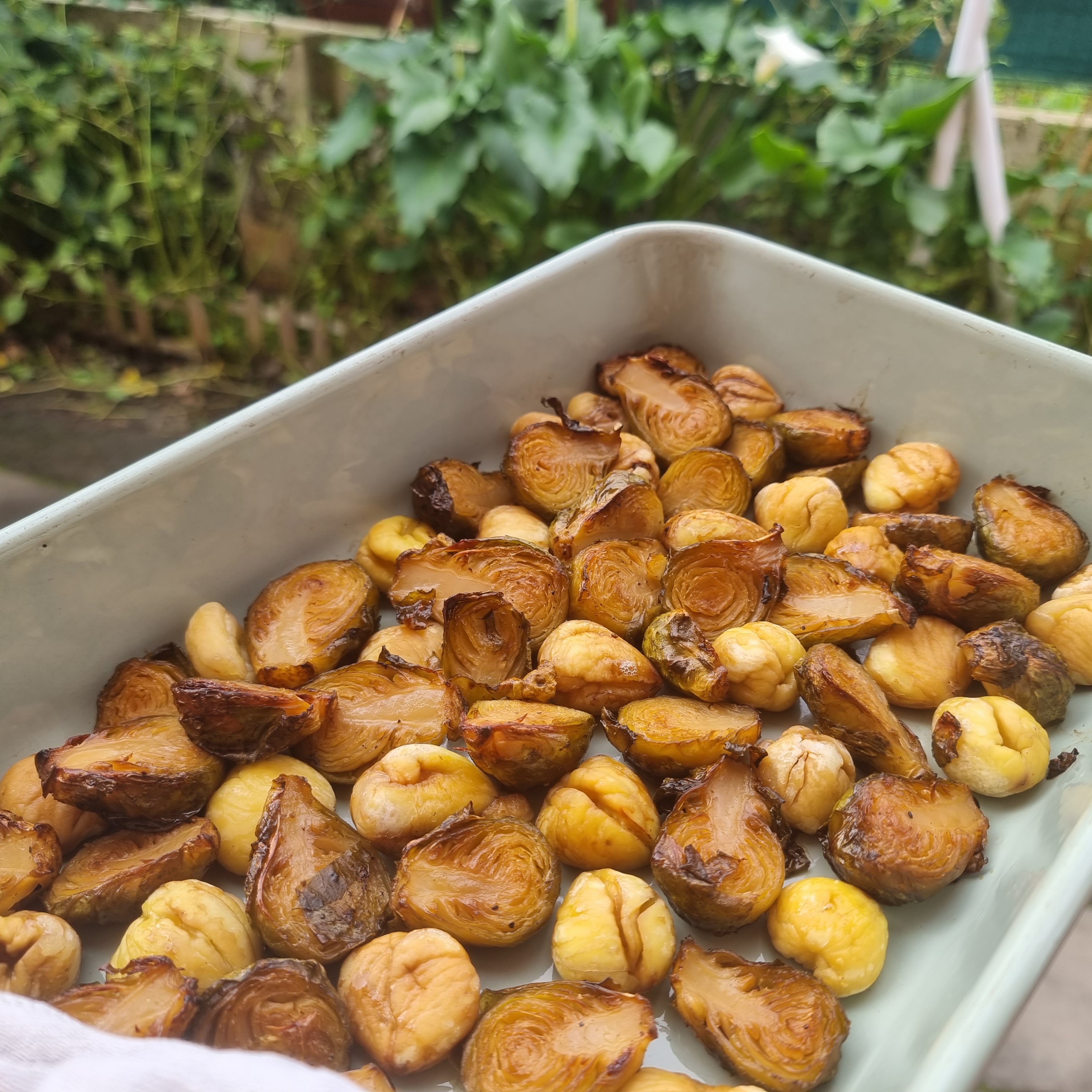 Couves de Bruxelas no Forno com xarope de ácer e castanhas