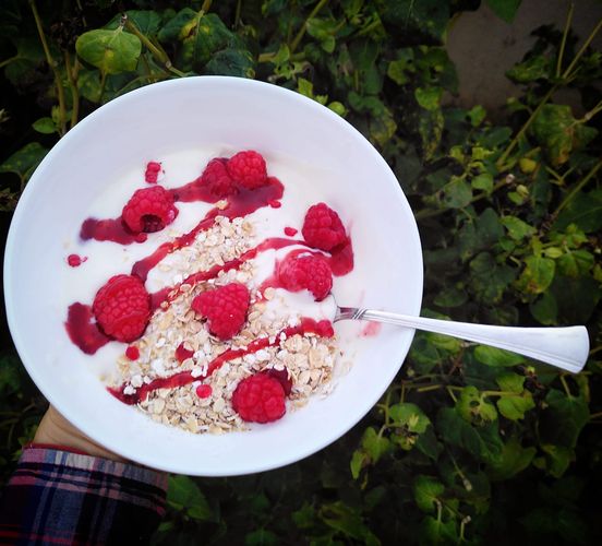 Yogurte com vida e cor